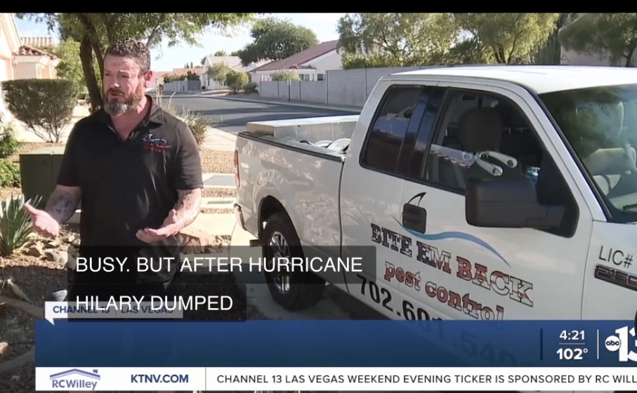 KTNV Channel 13 Las Vegas appearance