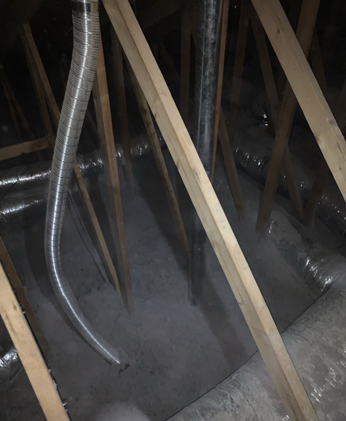 Clean attic after pest removal