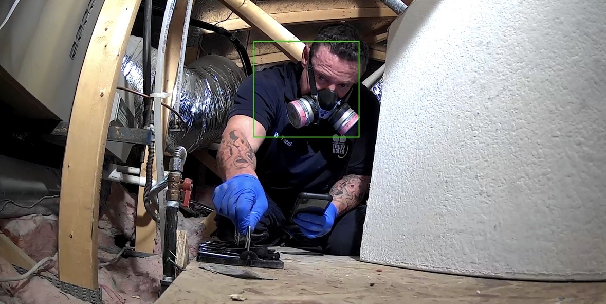 Attic rodent control work