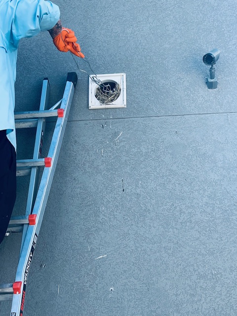 Removing bird debris from exterior vent