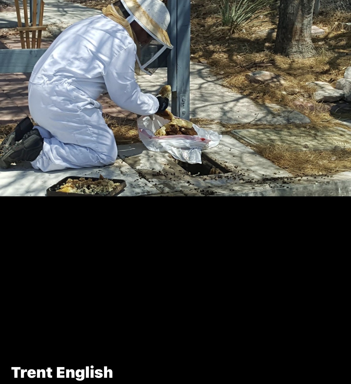 Bee suit hive removal