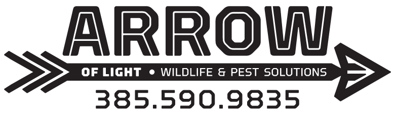 Arrow of Light Wildlife & Pest Solutions